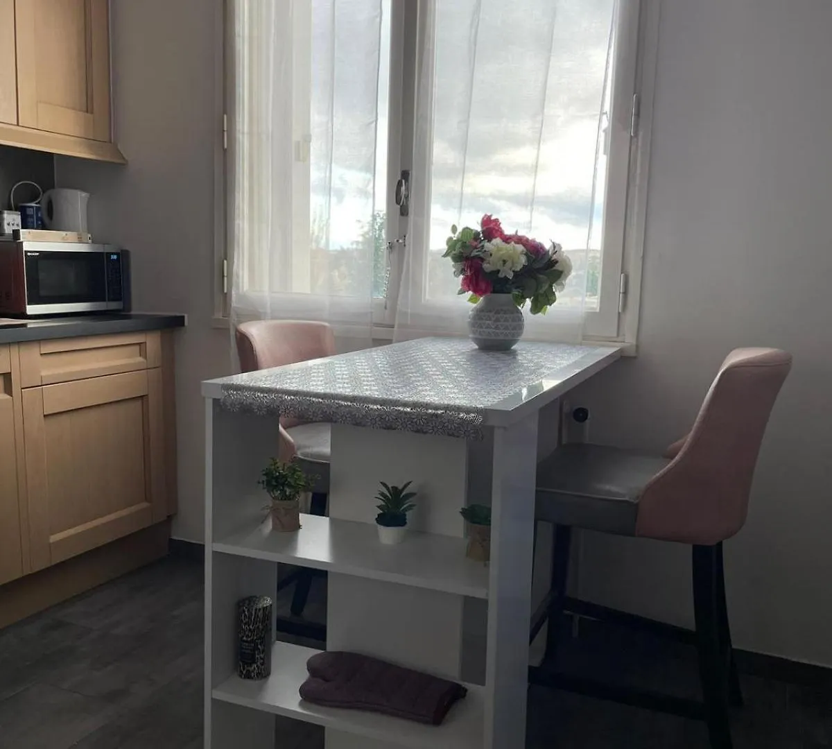 Place Privee/Le Marbre/Moderne/60M2 Annemasse 0*,  Francia